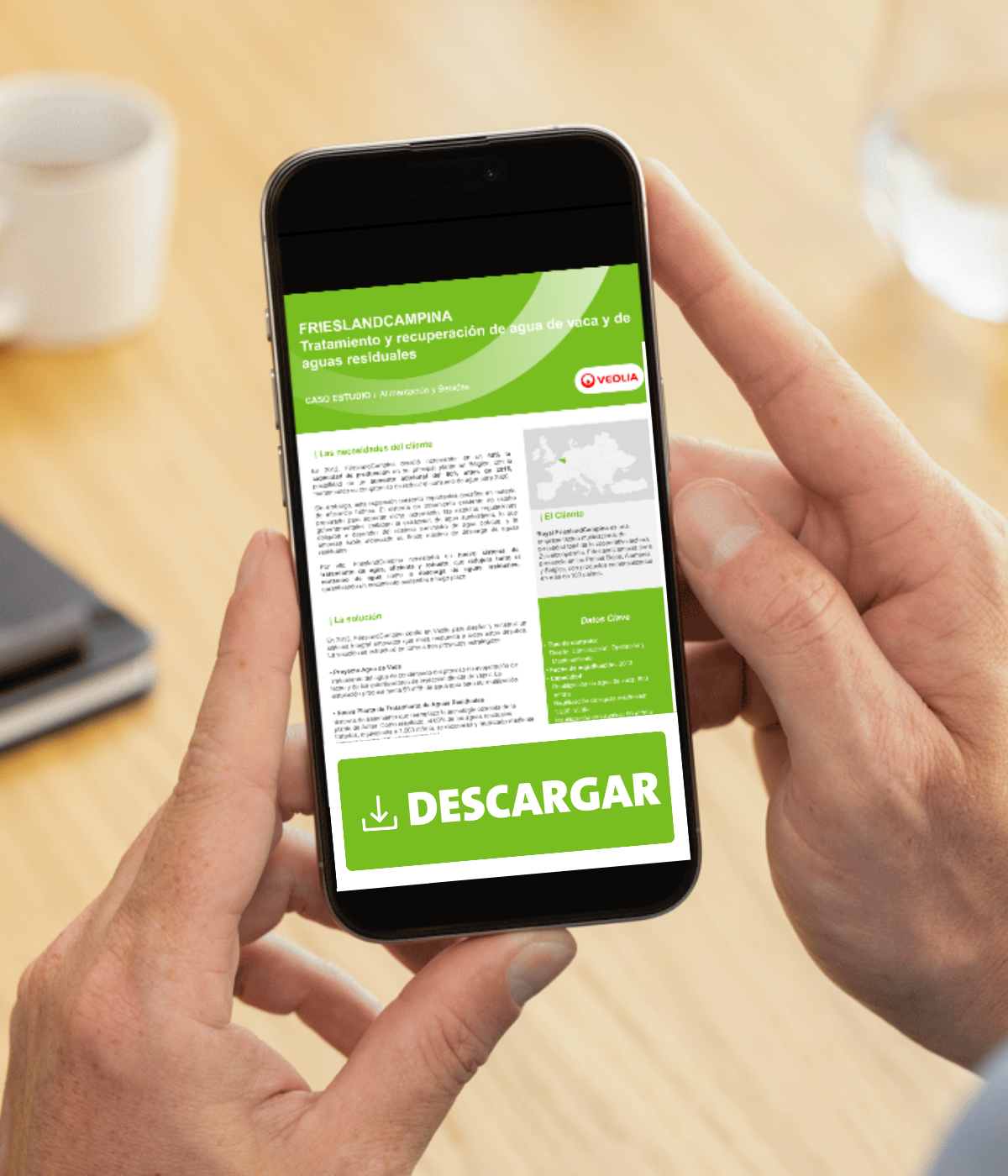 LP 1 - FrieslandCampina