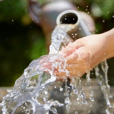 EU TDS_Mail banner_600x216_F&B Nurturing (400 x 400 px)